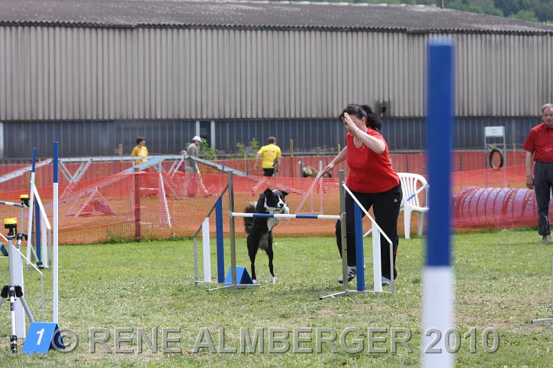 Bild 459.jpg